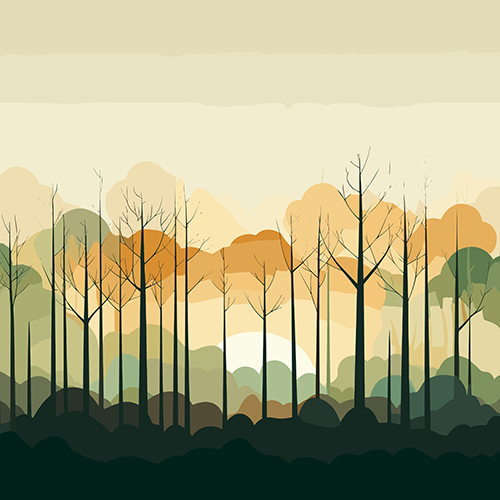 Forest Animation
