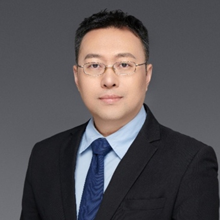 Professor Da Chen