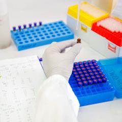 testing in a lab